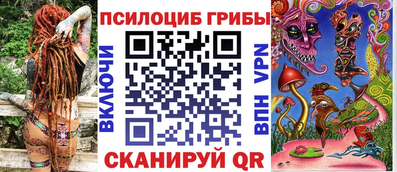 наркошоп  Томмот  Псилоцибиновые грибы Psilocybine cubensis 